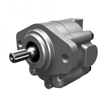  Large inventory, brand new and Original Hydraulic Rexroth Gear pump AZPS-1X-004QR20MB 