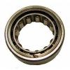 All kinds of faous brand Bearings and block SKF R1559-TV Cylindrical Roller Bearings #1 small image