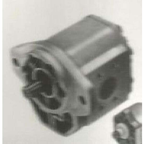 Original famous CPB-1316 Sundstrand Sauer Open Gear Pump #1 image