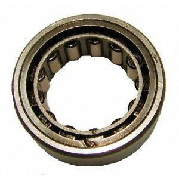 All kinds of faous brand Bearings and block SKF R1559-TV Cylindrical Roller Bearings #1 image